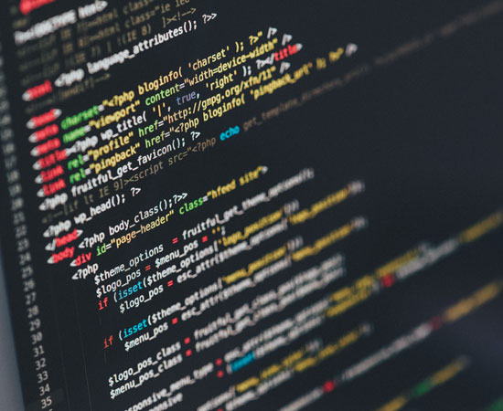 Website Development